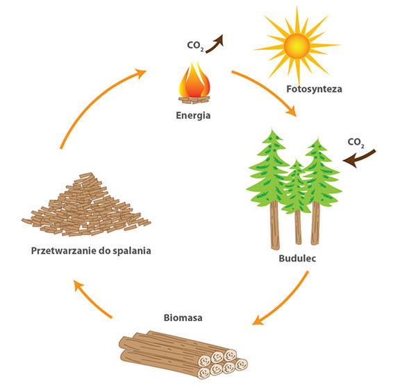 Schemat biomasa